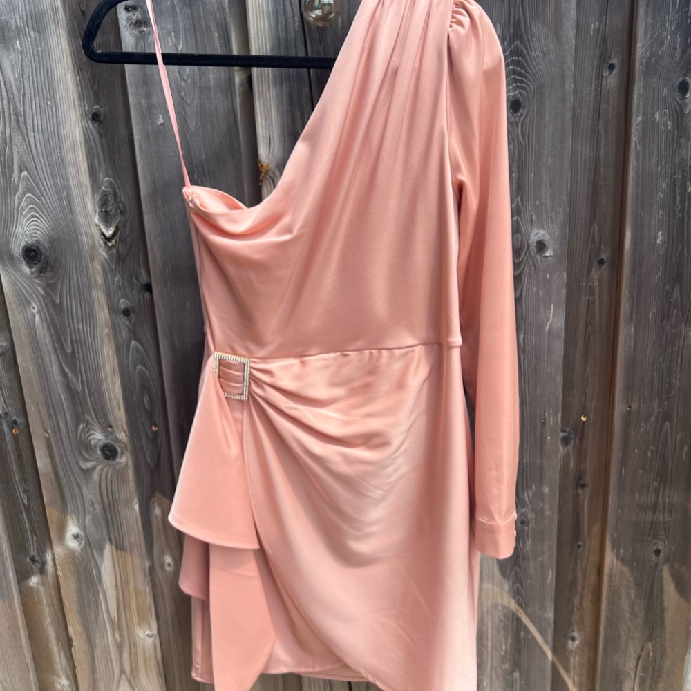 Le Chateau Pink Asymmetrical Ruched Bodycon Dress